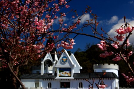2015 春節旅遊 20150224 242