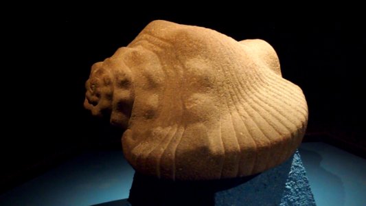 (Museo del Templo Mayor)