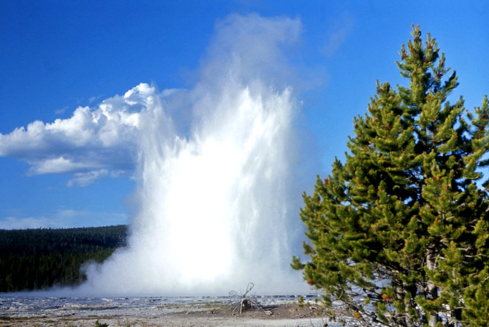 Great Fountain Geyser erupting (1969)