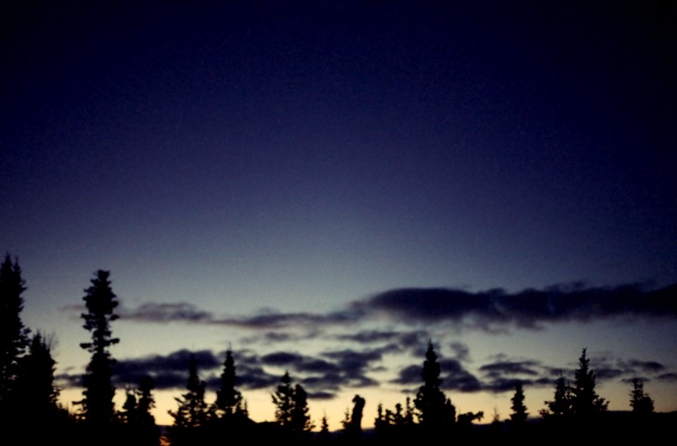 Yukon Night Sky