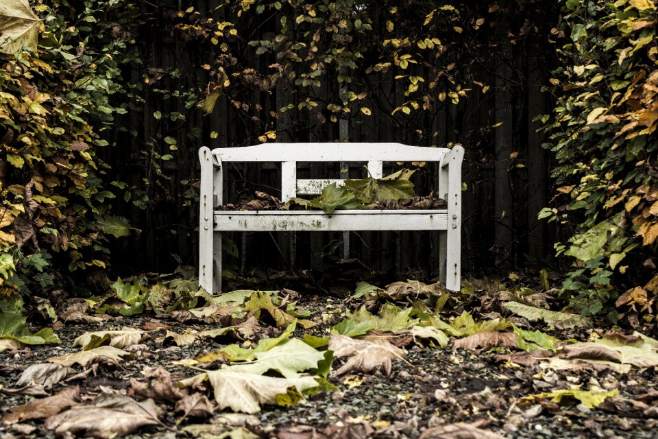 Autumn backyard weathered