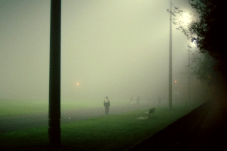 Foggy Field Walkers