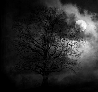 Landscape moonlight gloomy photo