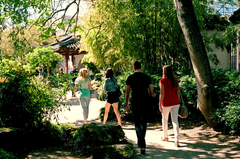 Sun Yat Sen Gardens