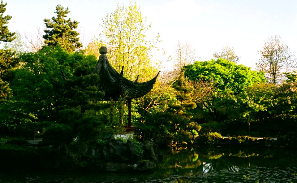 sun yat sen gardens