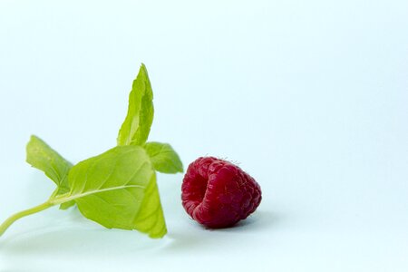 Still life fruit herb photo