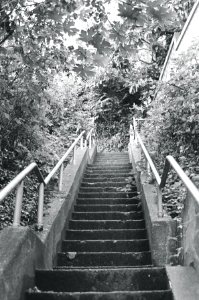 Old Stairway photo