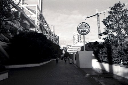 Elevated Walkway