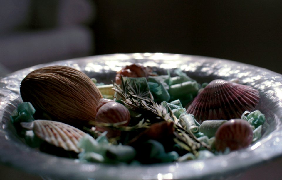 Shells in glass vase