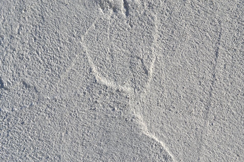wall