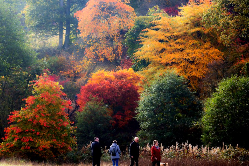 Autumn days
