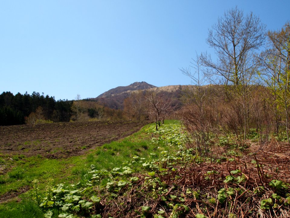 有珠山