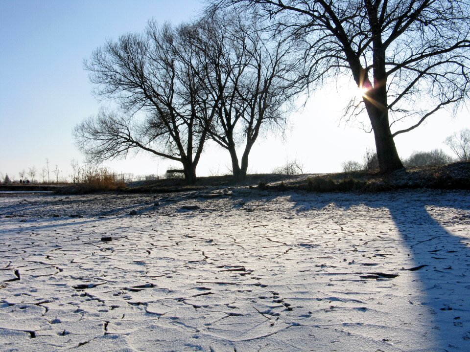 Ice frost light photo