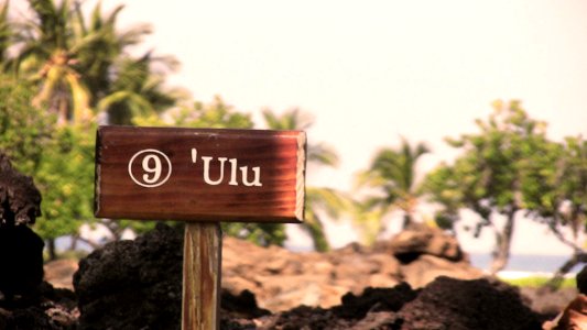 Ulu