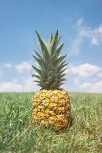 Food tropical healthy
