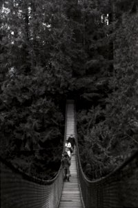 Lynn Canyon Suspension Bridge 2 photo