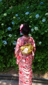 Japan kimono figure
