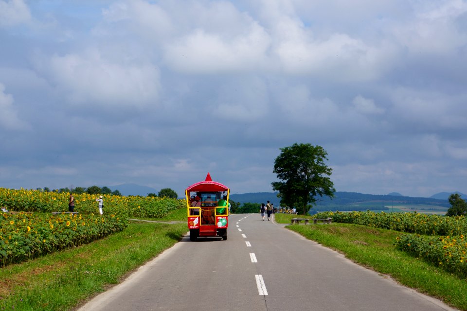 遊覧車 ひまわり号