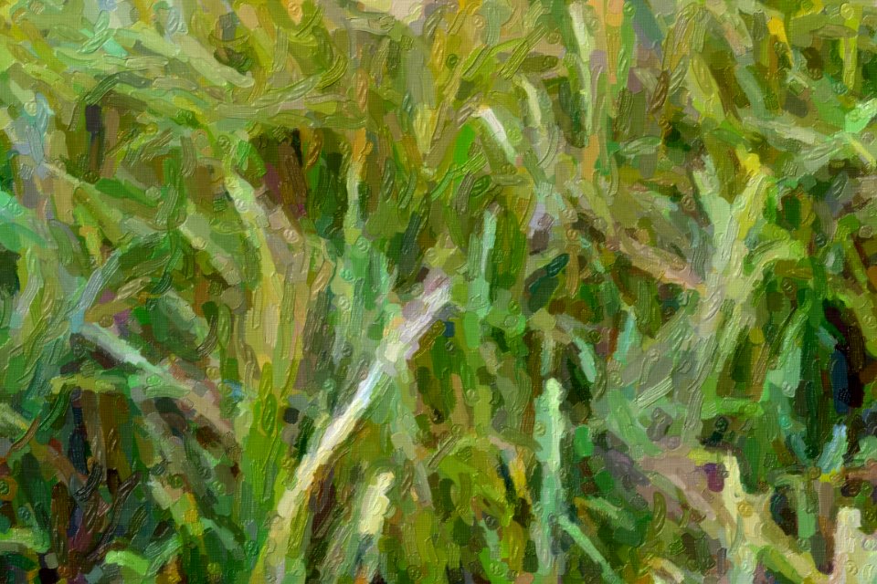 DSC 0038impasto-abstract