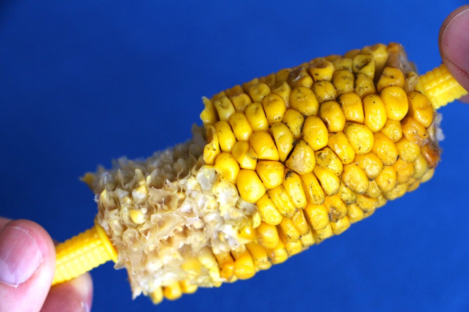 Bitten delicious corn
