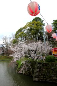 IMG 0440.jpg