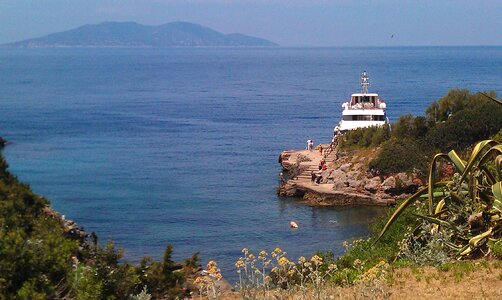 Island lily tuscany bay photo