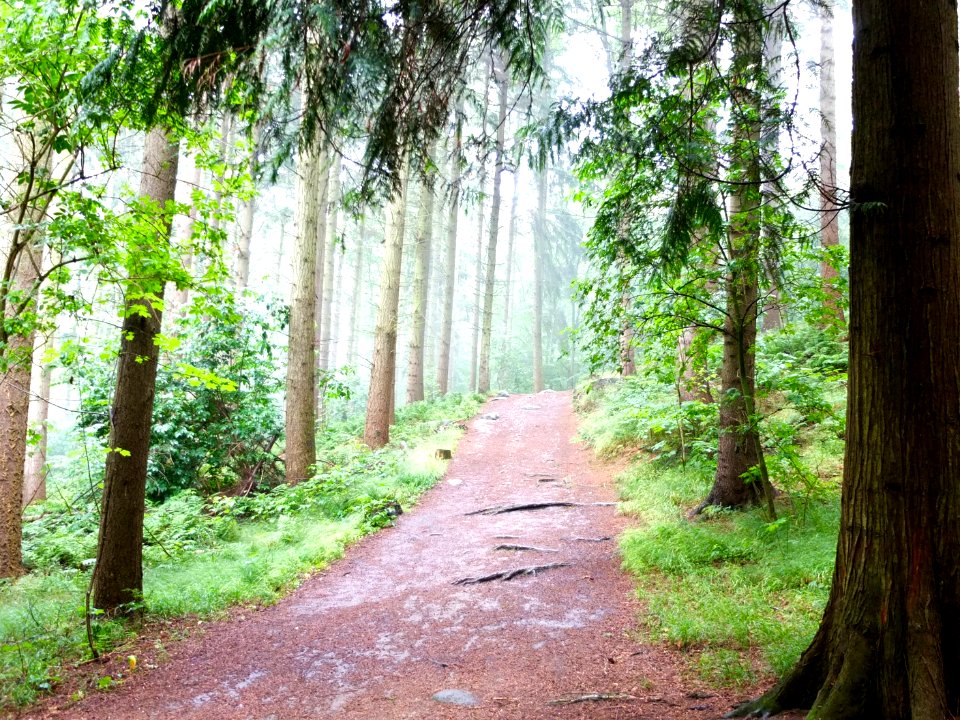 Døndalen, Bornholm