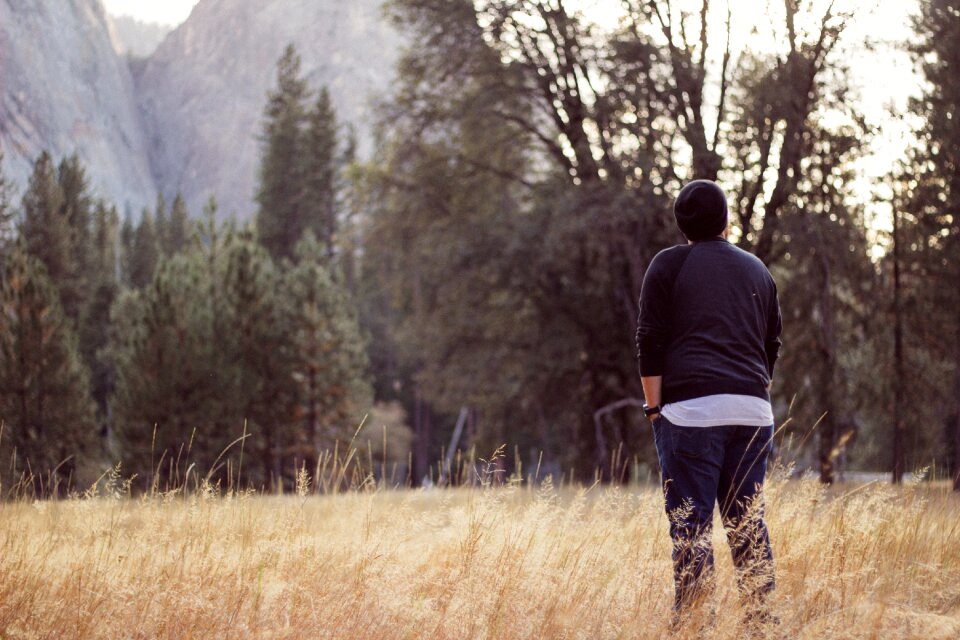 Scenic standing field