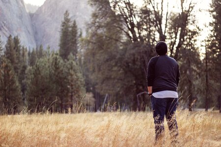 Scenic standing field photo