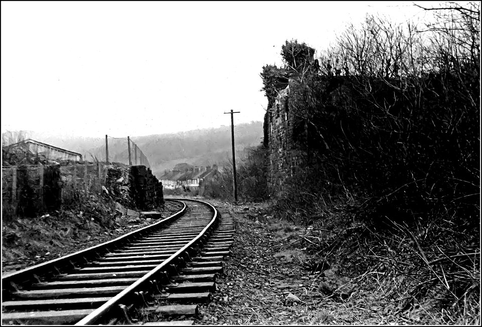 Mine line