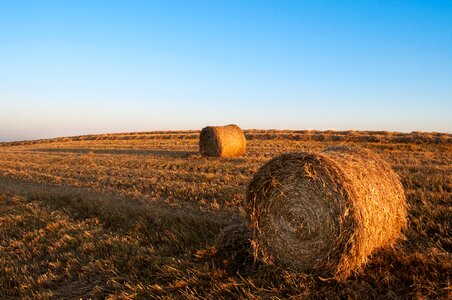 Farming country rural