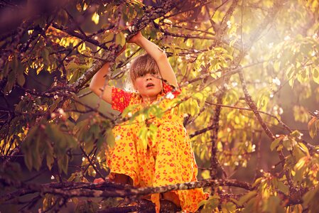 Girl tree climb