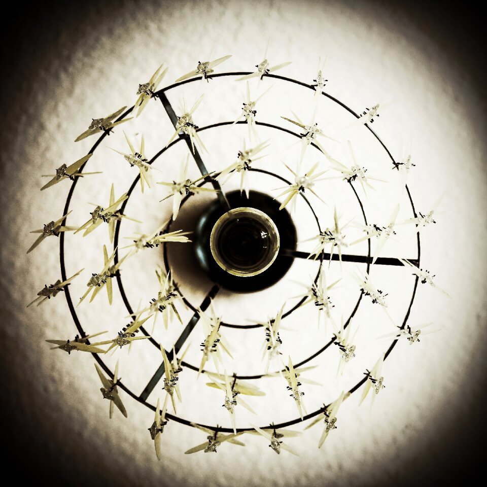 District depend lighting