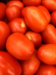 Roma Tomatoes photo
