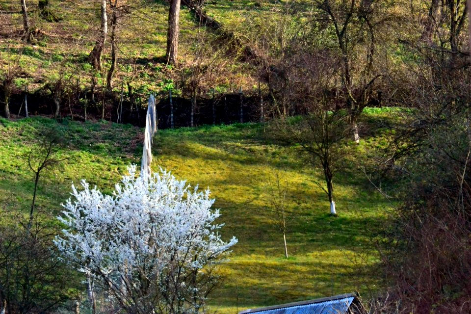 Spring 2014