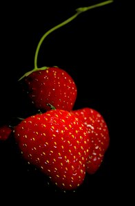 Sweet berries garden