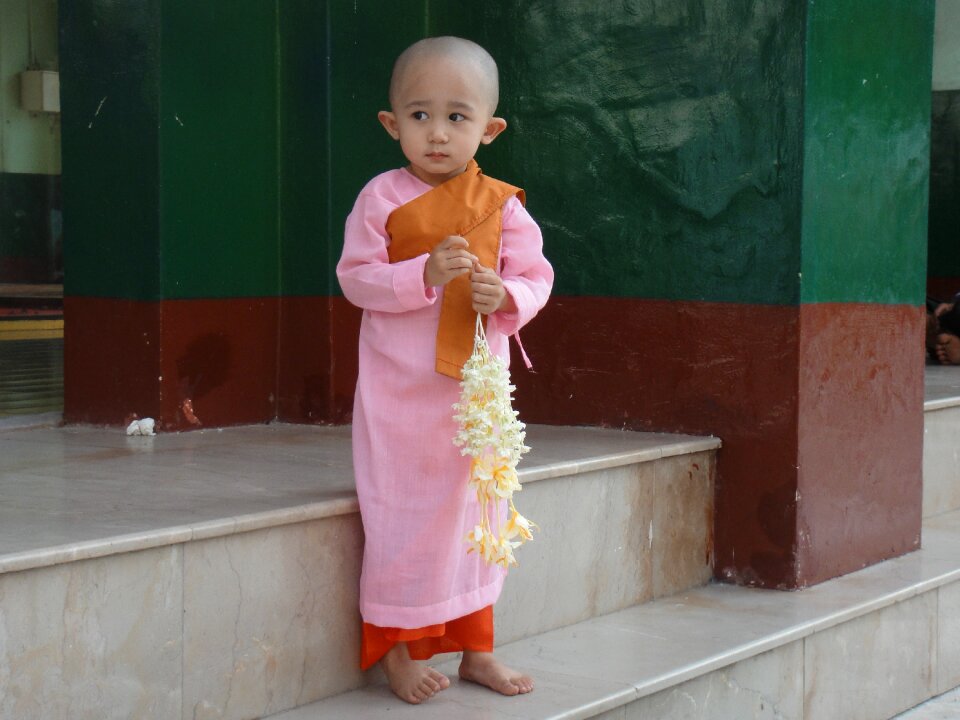 Monk sweet diffident