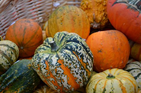 October november december