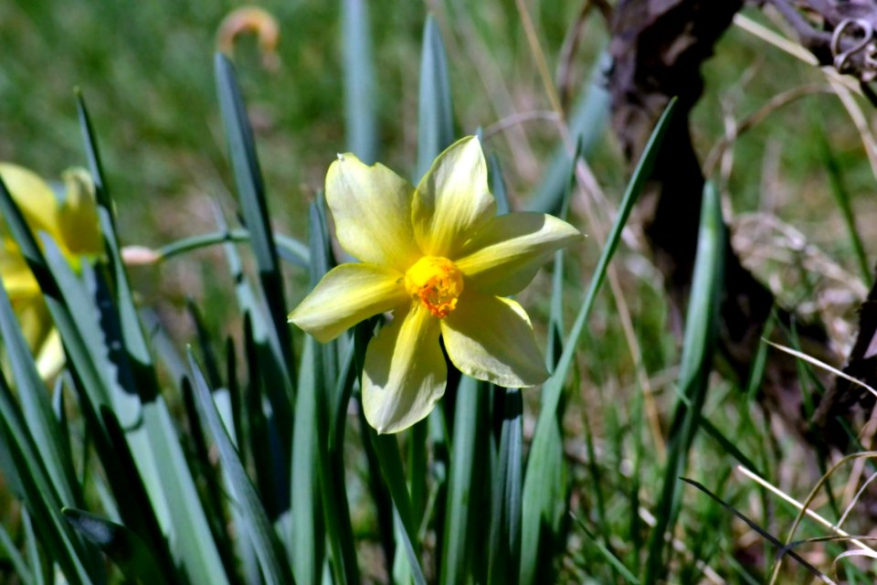 Spring 2014