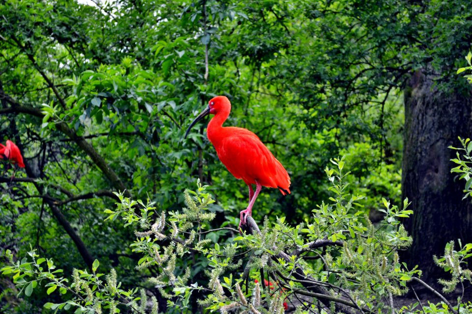 tierpark