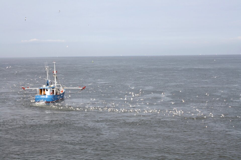 Fishing boat north sea gulls