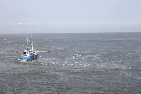 Fishing boat north sea gulls photo