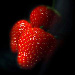 Sweet berries garden photo