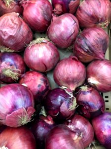 Purple Onions photo