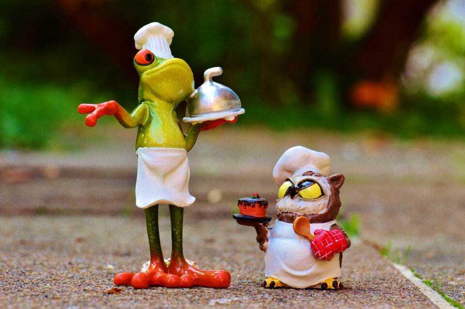 Competition funny cook