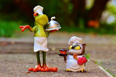 Competition funny cook