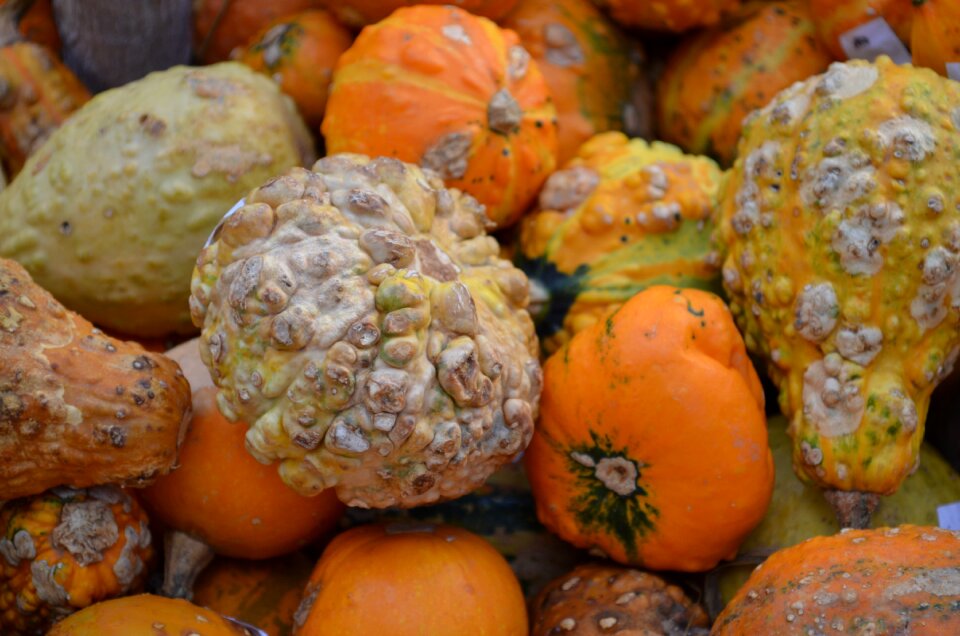October november december