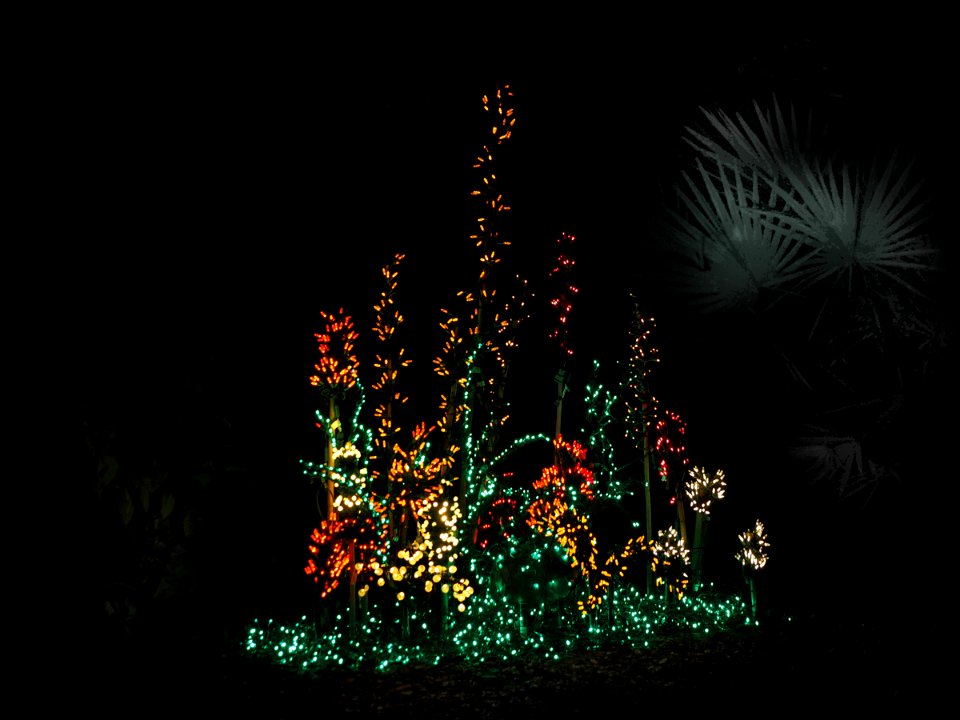 Dark, good exposure for the lights