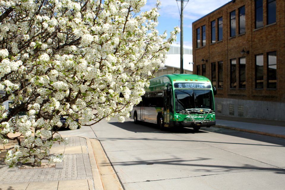 Silver Line at Rapid Central Station in spring