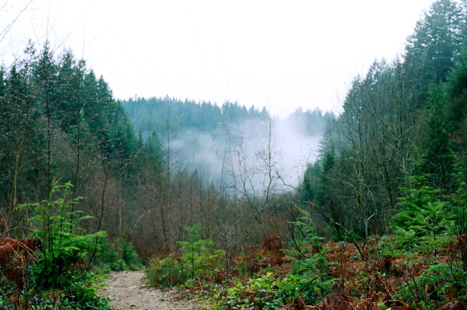 mountain landscape fog, North Vancouver
